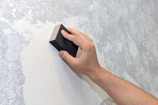 Best Mold Removal for HVAC Installations  in Pelham Manor, NY