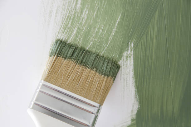 Best Emergency Mold Remediation  in Pelham Manor, NY