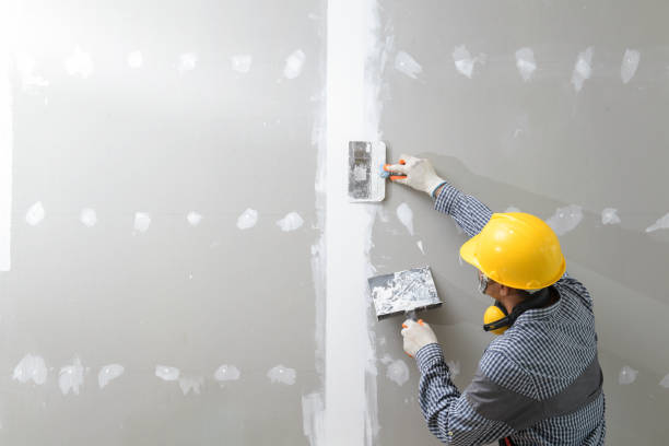 Best Black Mold Removal  in Pelham Manor, NY