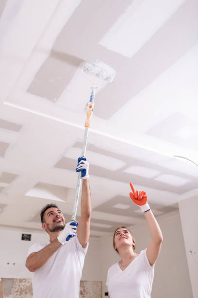 Best Basement Mold Removal  in Pelham Manor, NY