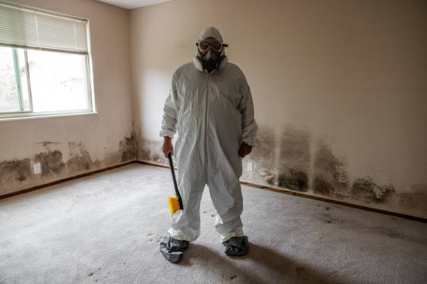 Best Mold Damage Restoration  in Pelham Manor, NY