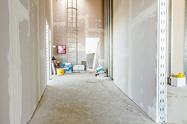 Best Mold Documentation for Insurance Claims  in Pelham Manor, NY